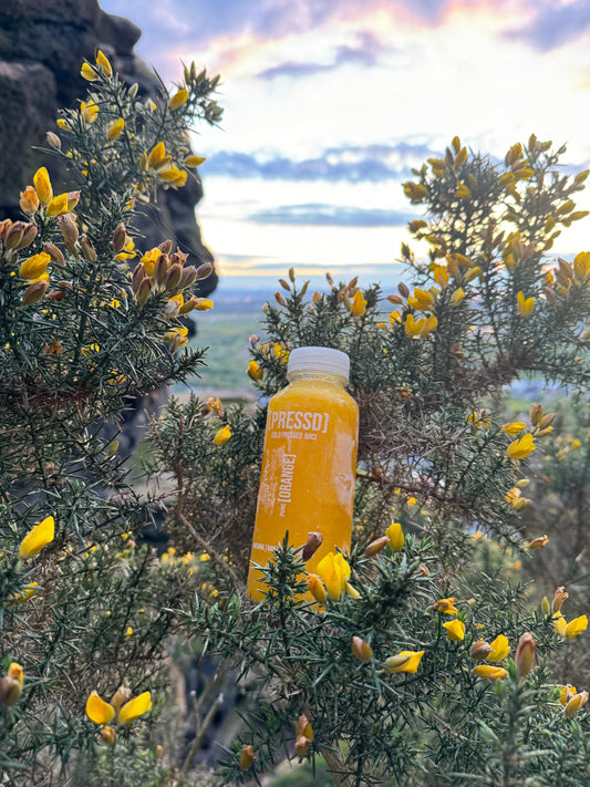 My 3-Day Cleanse with PRESSDJUICE: Real Talk & Real Results