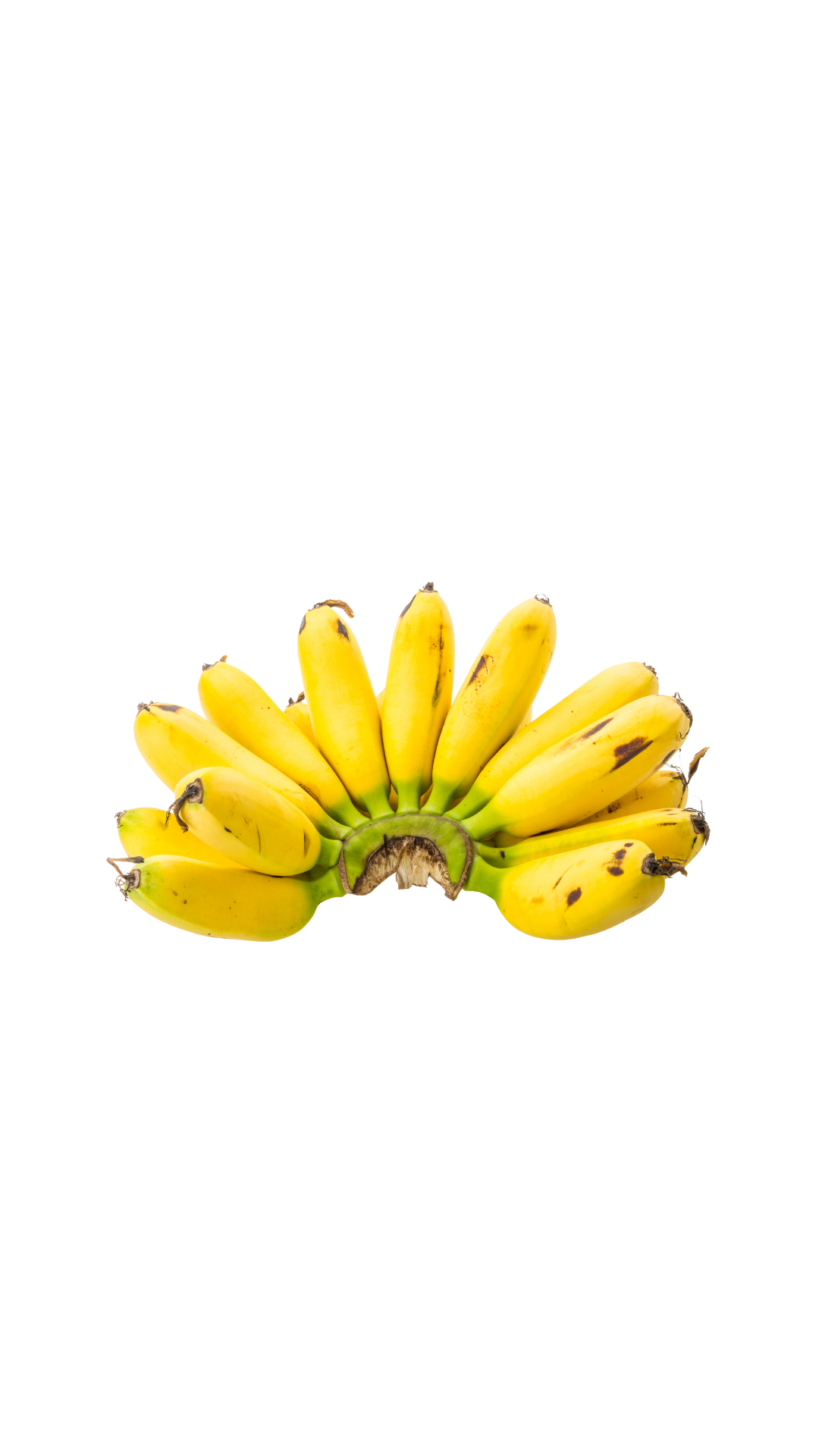[Apple Banana]