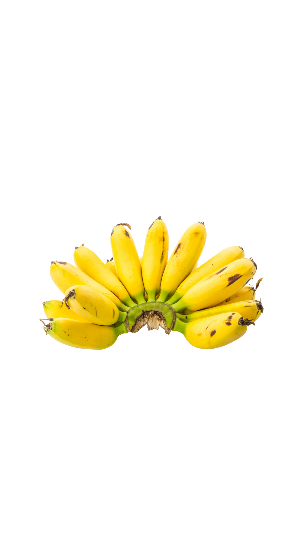 [Apple Banana]