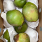 [Jelly Coconuts]